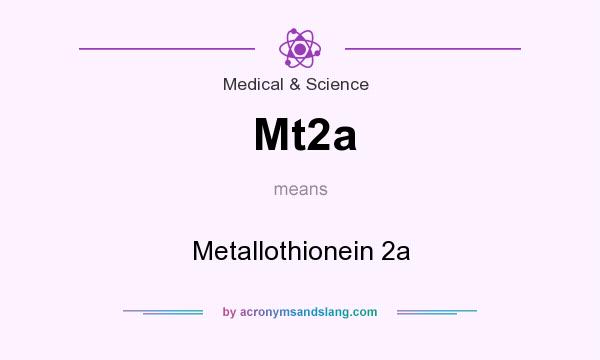 What does Mt2a mean? It stands for Metallothionein 2a