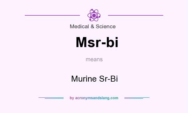 What does Msr-bi mean? It stands for Murine Sr-Bi