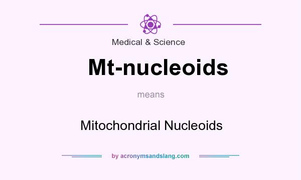 What does Mt-nucleoids mean? It stands for Mitochondrial Nucleoids