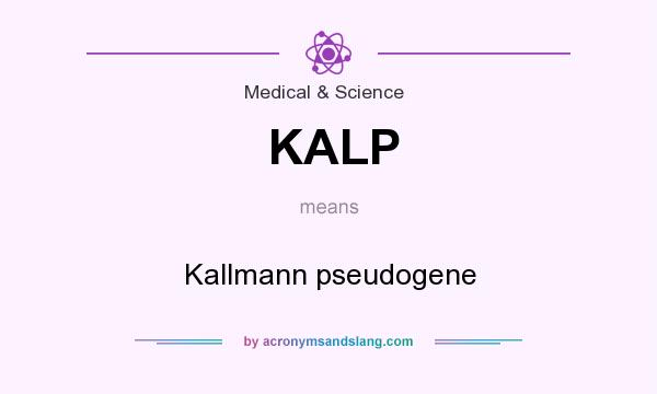 What does KALP mean? It stands for Kallmann pseudogene