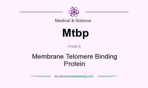What does Mtbp mean? It stands for Membrane Telomere Binding Protein