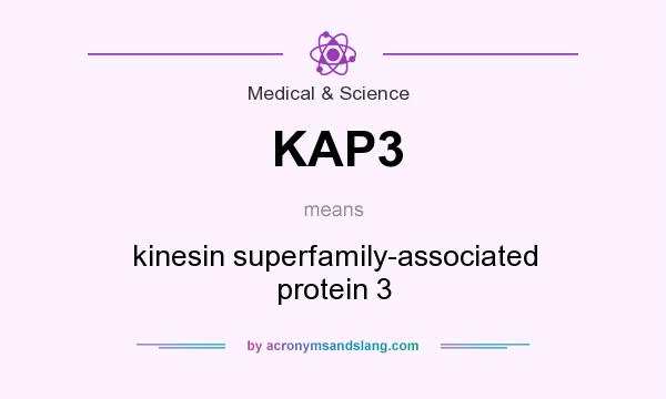 What does KAP3 mean? It stands for kinesin superfamily-associated protein 3