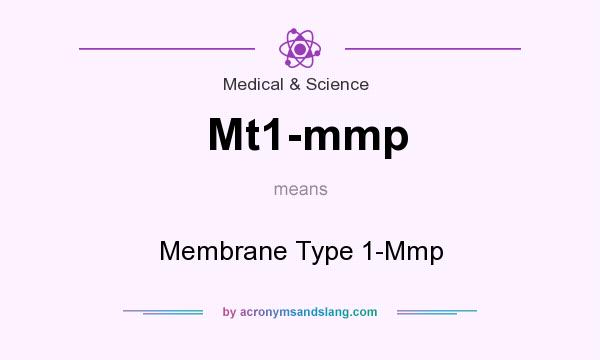 What does Mt1-mmp mean? It stands for Membrane Type 1-Mmp
