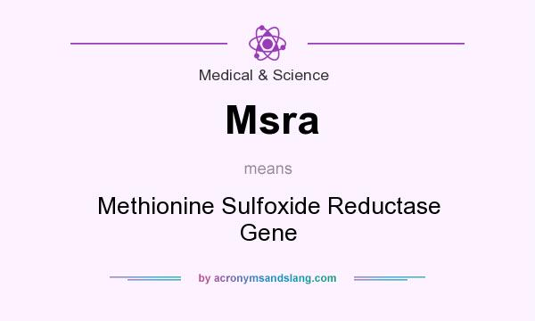 What does Msra mean? It stands for Methionine Sulfoxide Reductase Gene