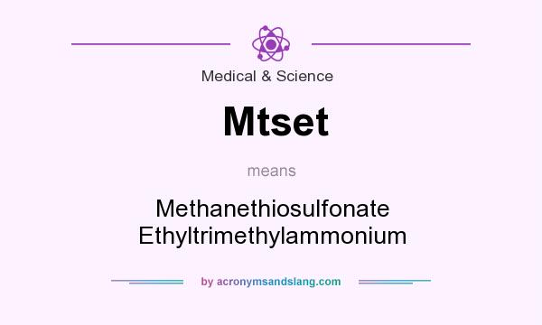 What does Mtset mean? It stands for Methanethiosulfonate Ethyltrimethylammonium