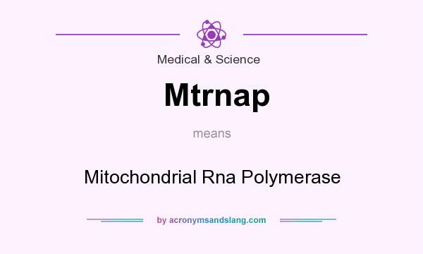 What does Mtrnap mean? It stands for Mitochondrial Rna Polymerase