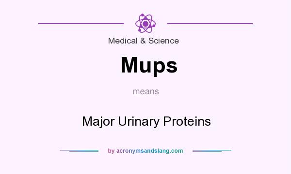 What does Mups mean? It stands for Major Urinary Proteins
