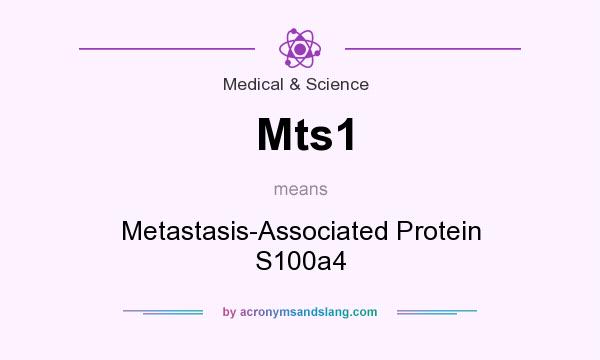 What does Mts1 mean? It stands for Metastasis-Associated Protein S100a4