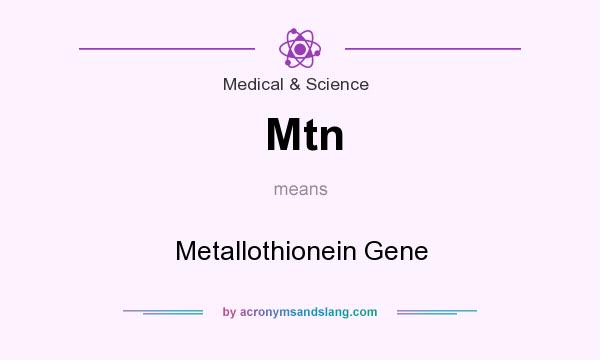 What does Mtn mean? It stands for Metallothionein Gene