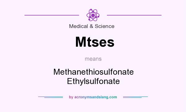 What does Mtses mean? It stands for Methanethiosulfonate Ethylsulfonate