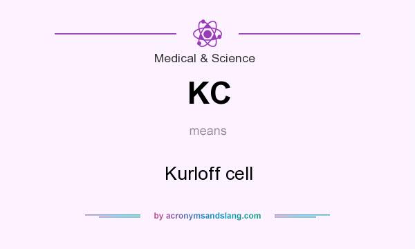 What does KC mean? It stands for Kurloff cell