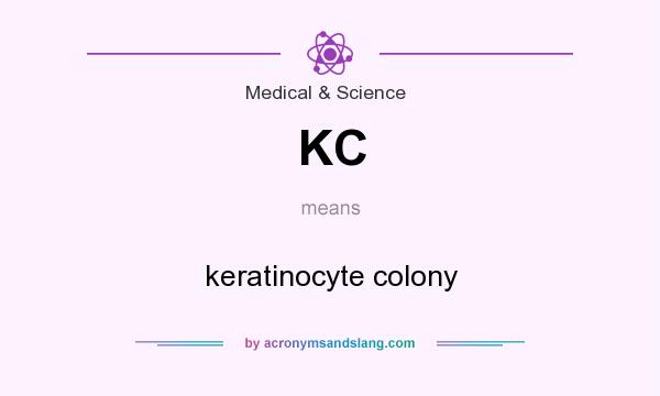 What does KC mean? It stands for keratinocyte colony
