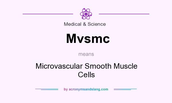 What does Mvsmc mean? It stands for Microvascular Smooth Muscle Cells