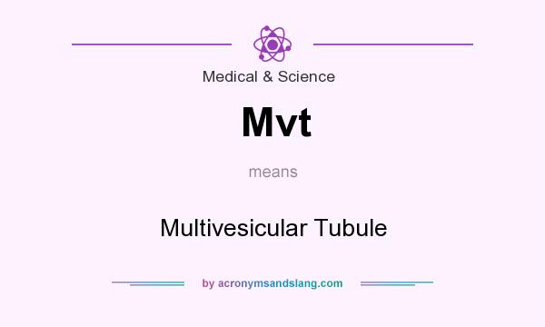 What does Mvt mean? It stands for Multivesicular Tubule