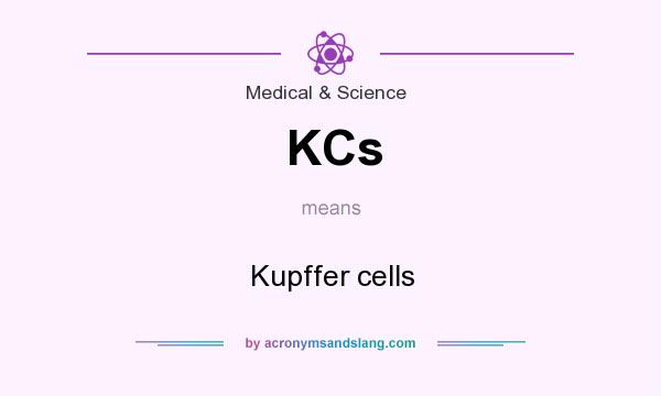 What does KCs mean? It stands for Kupffer cells