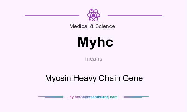 What does Myhc mean? It stands for Myosin Heavy Chain Gene