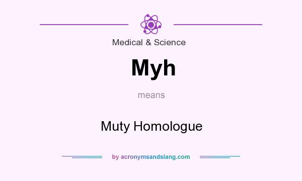 What does Myh mean? It stands for Muty Homologue