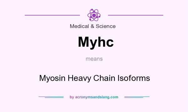 What does Myhc mean? It stands for Myosin Heavy Chain Isoforms