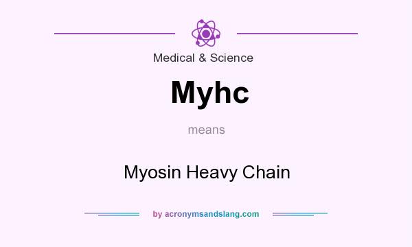 What does Myhc mean? It stands for Myosin Heavy Chain