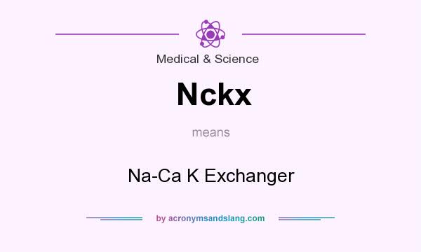 What does Nckx mean? It stands for Na-Ca K Exchanger