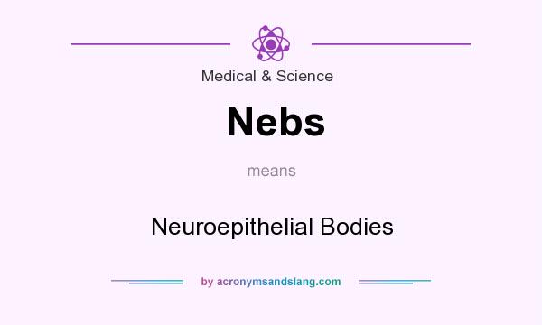 What does Nebs mean? It stands for Neuroepithelial Bodies