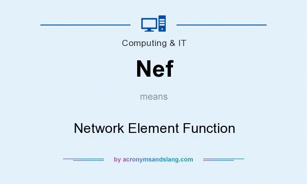 What does Nef mean? It stands for Network Element Function