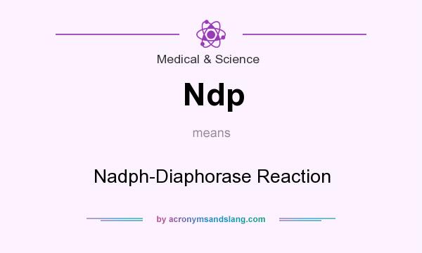 What does Ndp mean? It stands for Nadph-Diaphorase Reaction