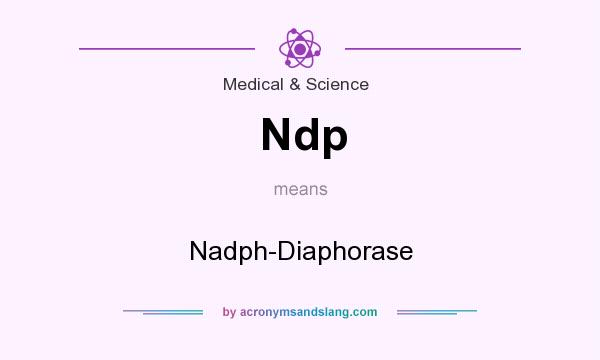 What does Ndp mean? It stands for Nadph-Diaphorase