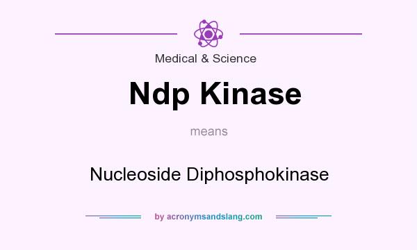 What does Ndp Kinase mean? It stands for Nucleoside Diphosphokinase