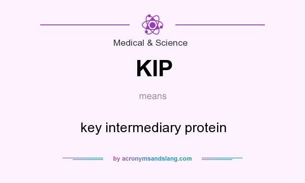 What does KIP mean? It stands for key intermediary protein
