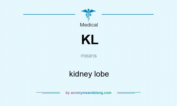 What does KL mean? It stands for kidney lobe
