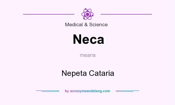 What does Neca mean? It stands for Nepeta Cataria