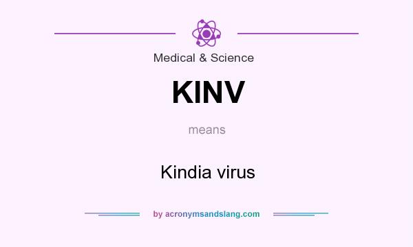 What does KINV mean? It stands for Kindia virus