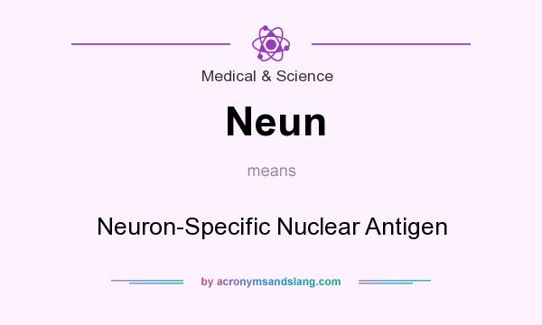 What does Neun mean? It stands for Neuron-Specific Nuclear Antigen