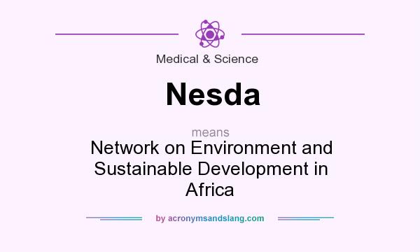 What does Nesda mean? It stands for Network on Environment and Sustainable Development in Africa