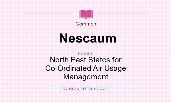 What does Nescaum mean? It stands for North East States for Co-Ordinated Air Usage Management