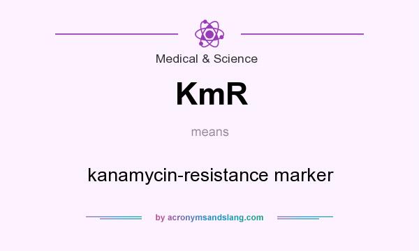 What does KmR mean? It stands for kanamycin-resistance marker
