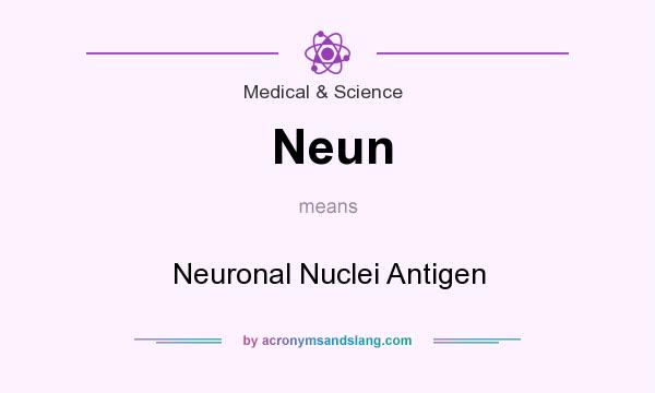 What does Neun mean? It stands for Neuronal Nuclei Antigen