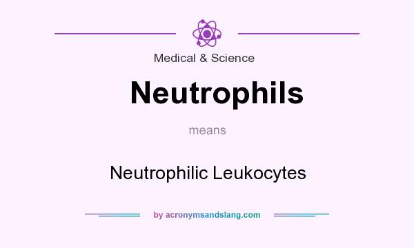 What does Neutrophils mean? It stands for Neutrophilic Leukocytes