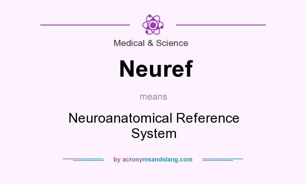 What does Neuref mean? It stands for Neuroanatomical Reference System