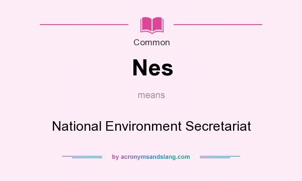 What does Nes mean? It stands for National Environment Secretariat