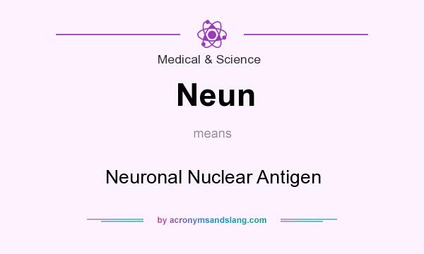 What does Neun mean? It stands for Neuronal Nuclear Antigen