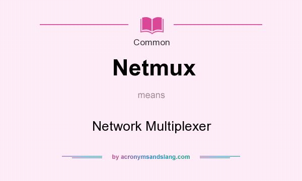 What does Netmux mean? It stands for Network Multiplexer