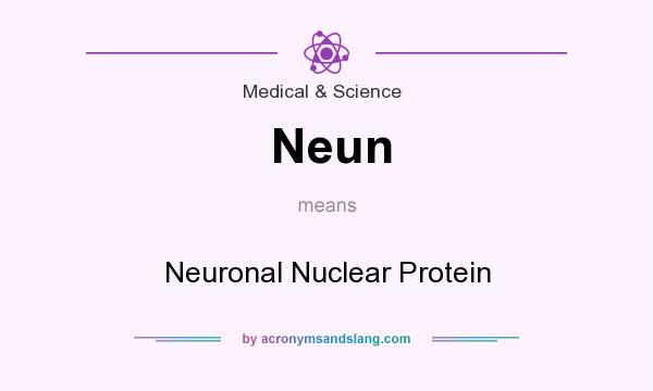 What does Neun mean? It stands for Neuronal Nuclear Protein