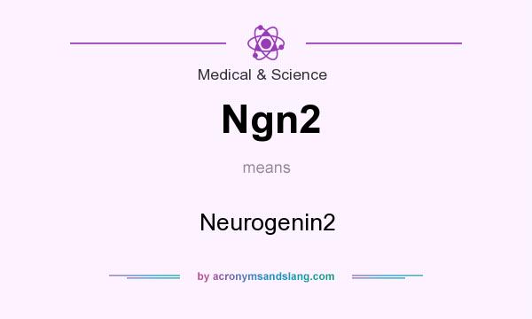 What does Ngn2 mean? It stands for Neurogenin2