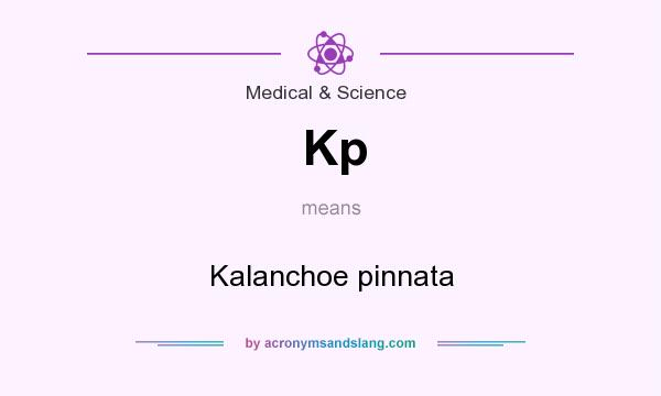 What does Kp mean? It stands for Kalanchoe pinnata
