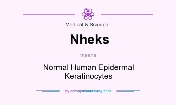 What does Nheks mean? It stands for Normal Human Epidermal Keratinocytes