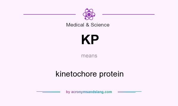 What does KP mean? It stands for kinetochore protein