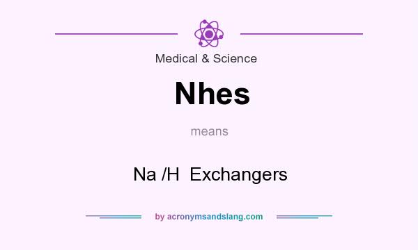 What does Nhes mean? It stands for Na /H  Exchangers