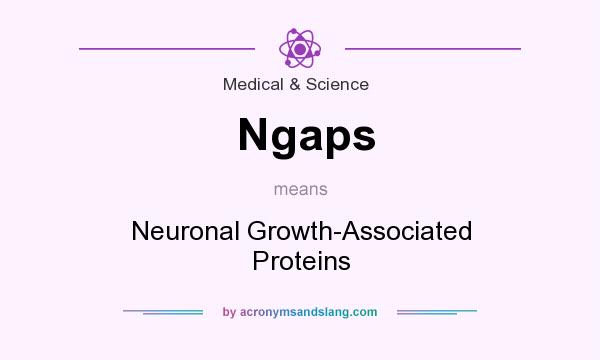 What does Ngaps mean? It stands for Neuronal Growth-Associated Proteins